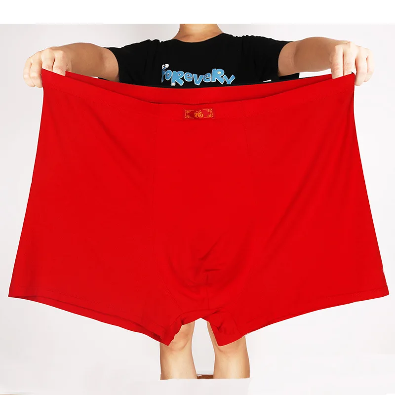 Boxershorts Men Modal Panties  - Didgeridoo Bamboo review and price